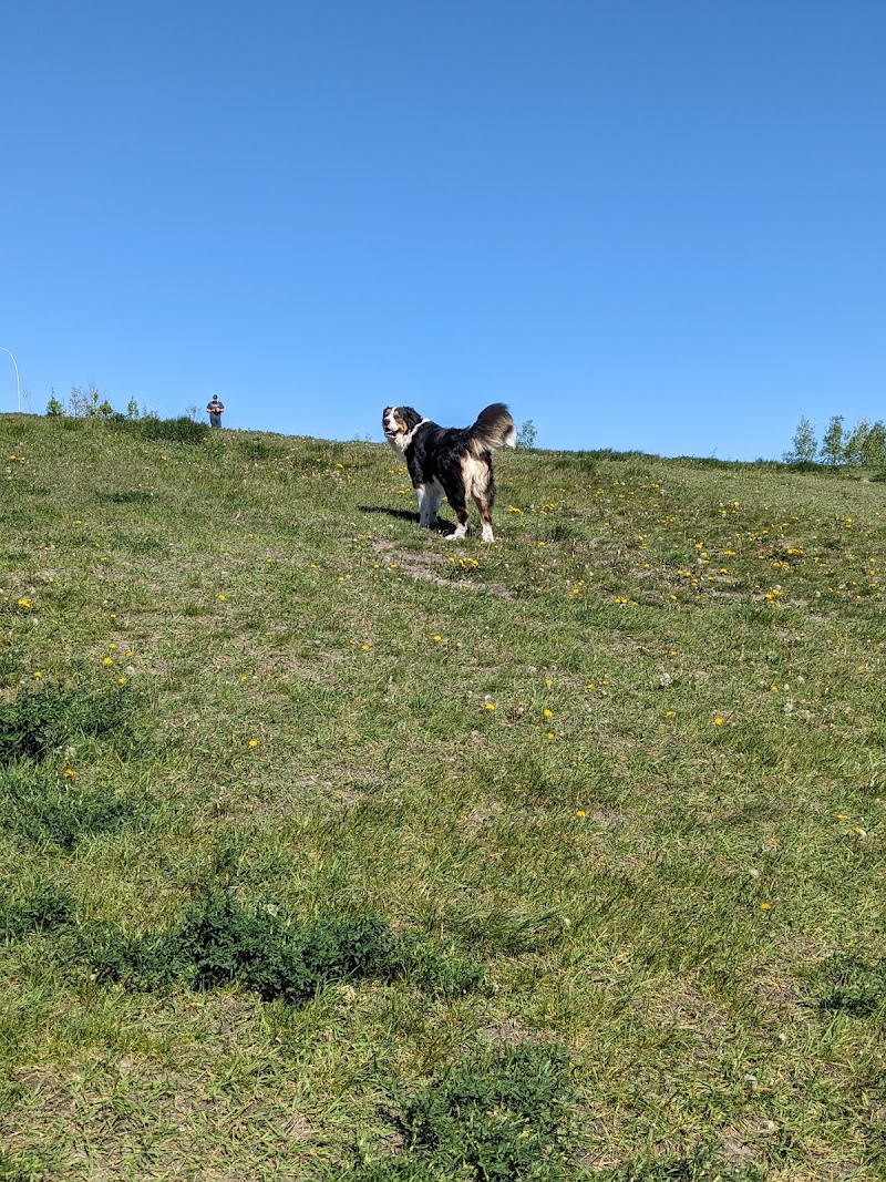 West Nose Creek Off Leash Area dog park in Calgary, Alberta