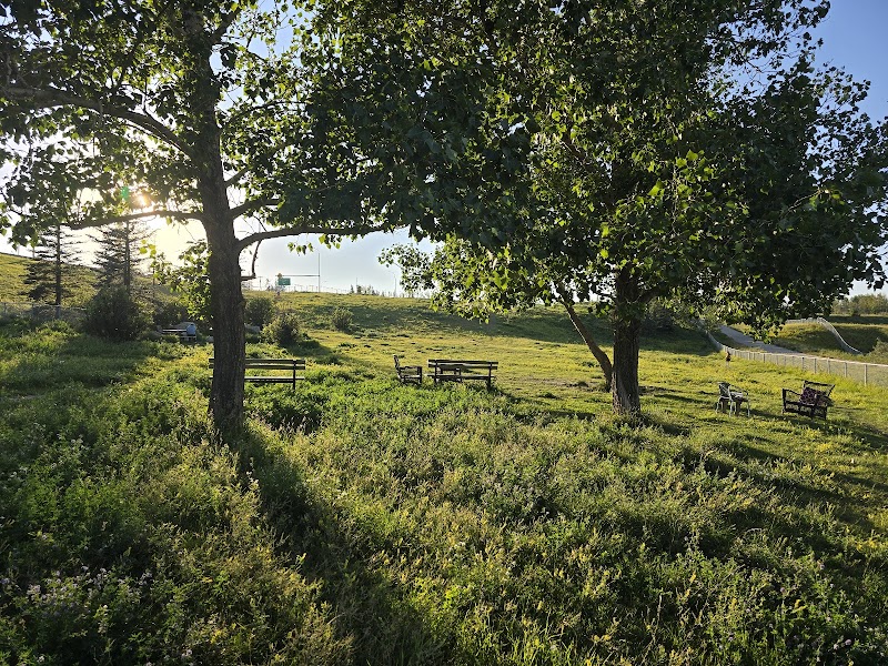 West Nose Creek Off Leash Area dog park in Calgary, Alberta
