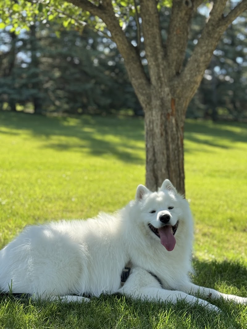 Egerts Park Off Leash Dog Park dog park in Calgary, Alberta
