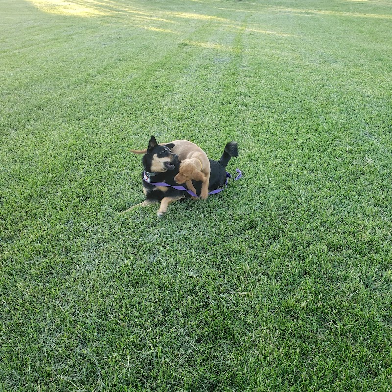 Egerts Park Off Leash Dog Park dog park in Calgary, Alberta