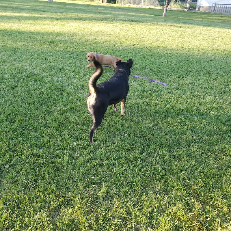 Egerts Park Off Leash Dog Park dog park in Calgary, Alberta