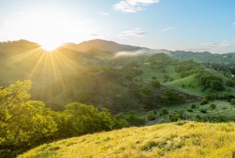 North Haven Off Leash Dog Park dog park in Calgary, Alberta