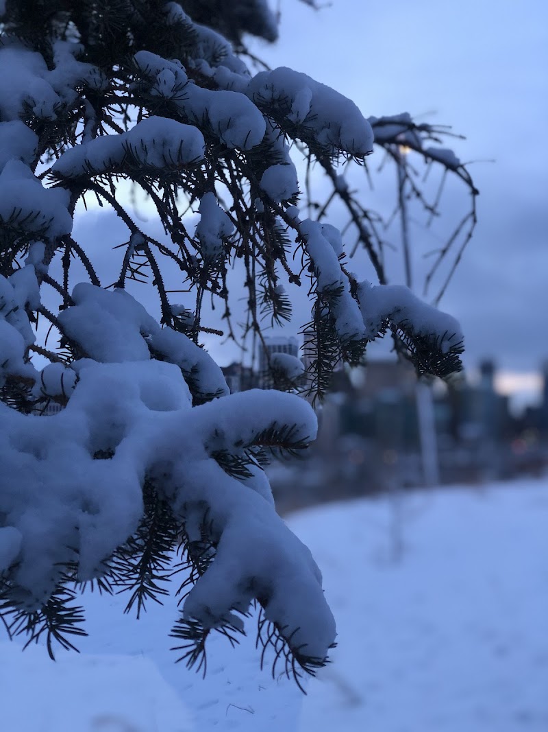 McHugh Bluff Off Leash Dog Park dog park in Calgary, Alberta