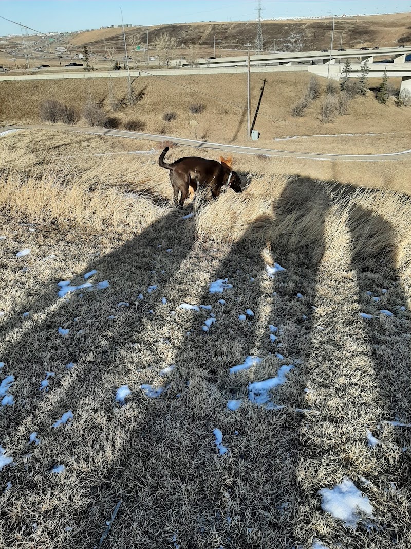 Huntington Off-Leash Dog Park dog park in Calgary, Alberta