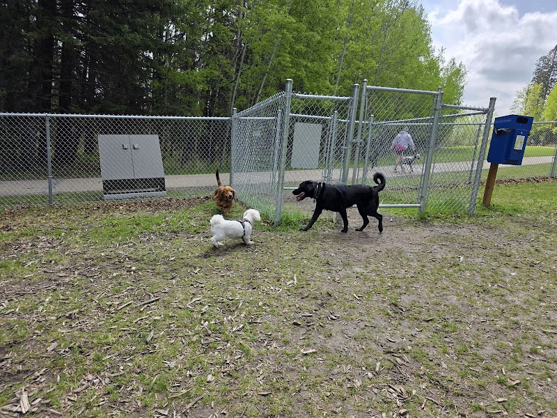Off-Leash Dog Park dog park in Rocky Mountain House, Alberta