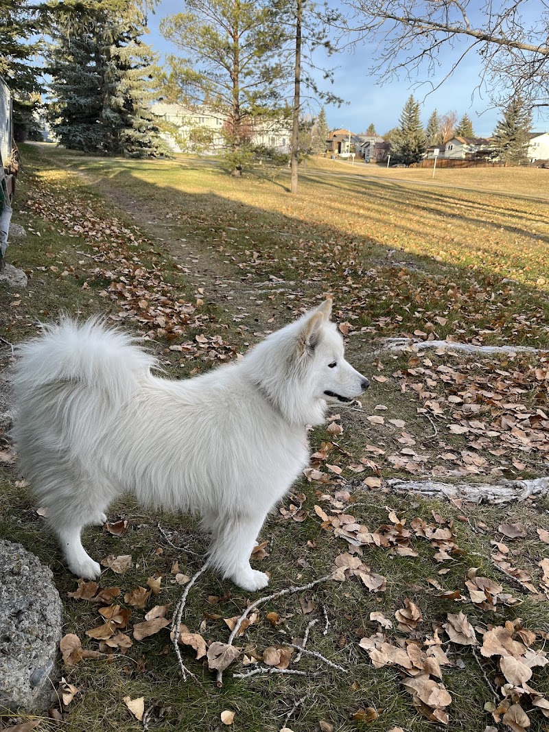 Beddington Area 2 Off Leash Dog Park dog park in Calgary, Alberta