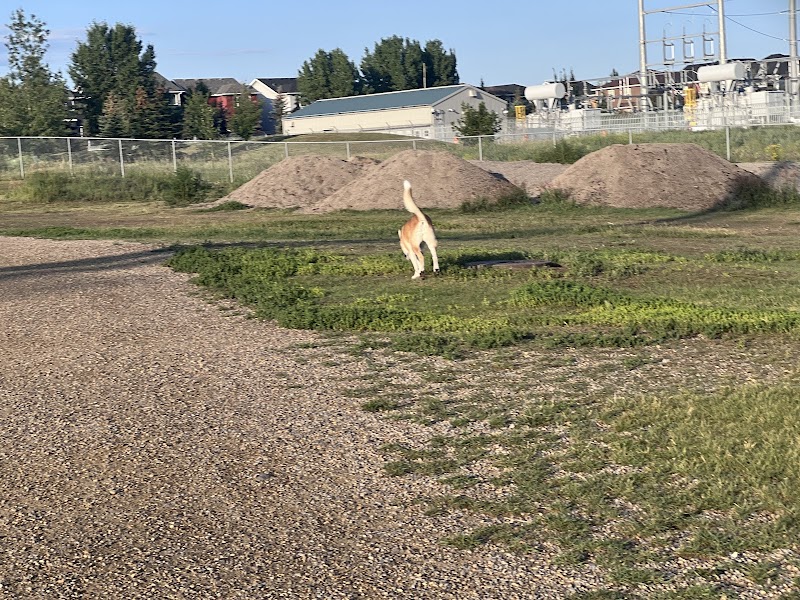 Auburn Bay Dog Park dog park in Calgary, Alberta