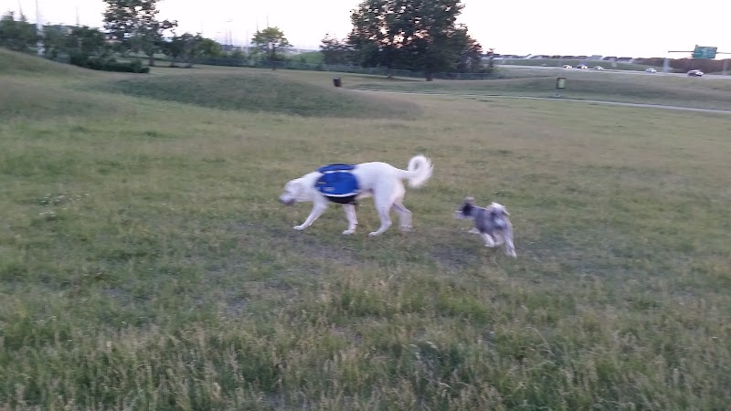 Auburn Bay Dog Park dog park in Calgary, Alberta