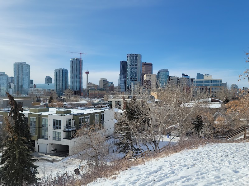 Bridgeland Riverside Off-Leash Area dog park in Calgary, Alberta