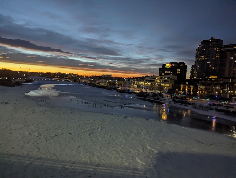 Bridgeland Riverside Off-Leash Area dog park in Calgary, Alberta