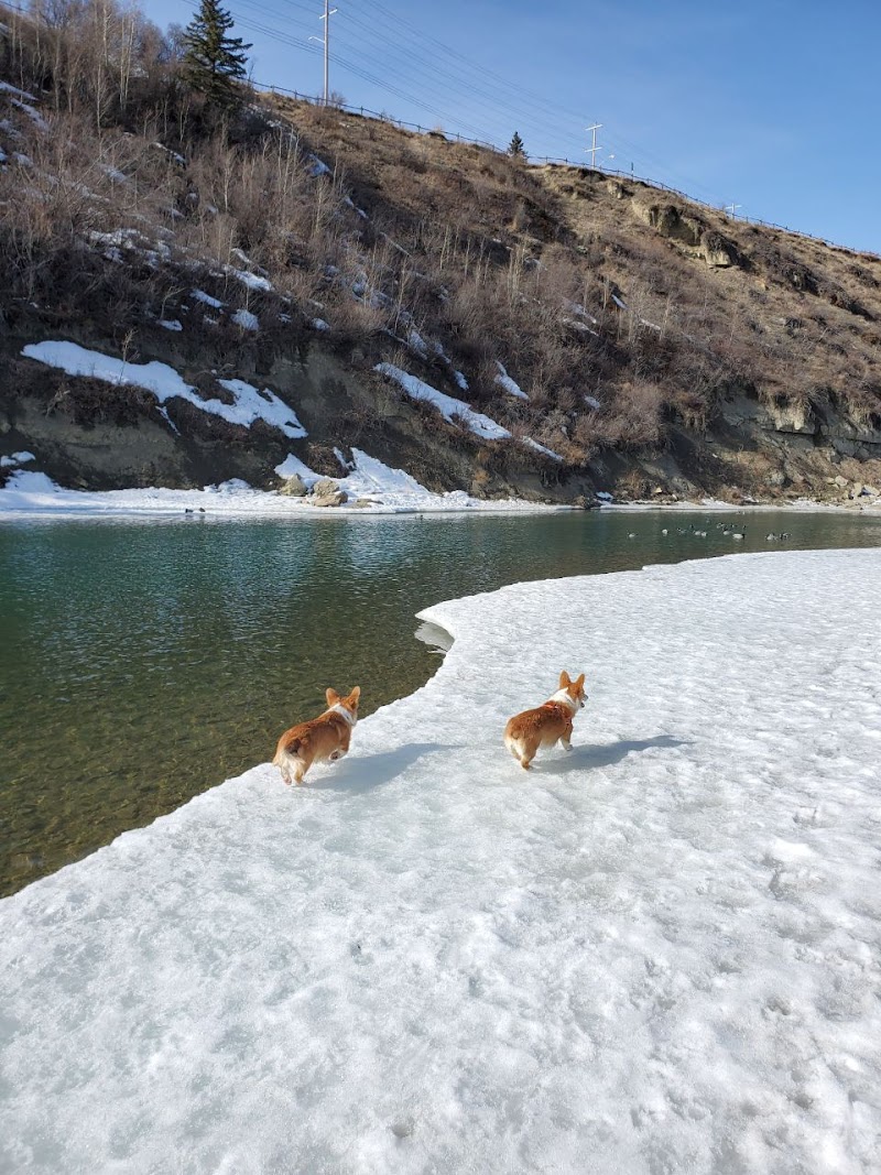 Riverdale Off Leash Dog Park dog park in Calgary, Alberta