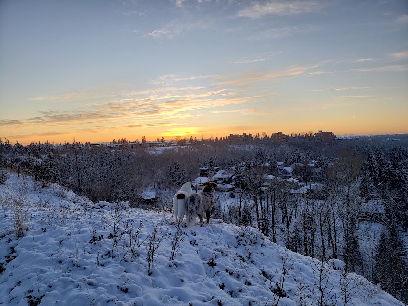 Roxboro & Erlton Offleash Dog Park dog park in Calgary, Alberta