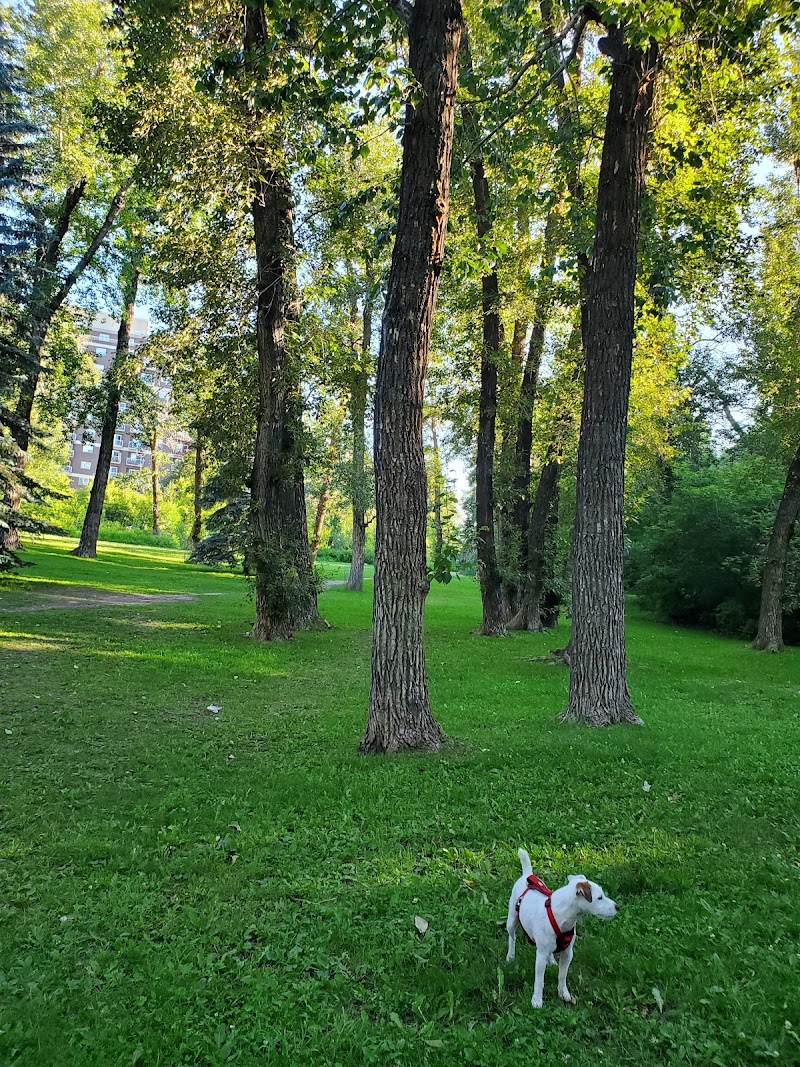 Roxboro & Erlton Offleash Dog Park dog park in Calgary, Alberta