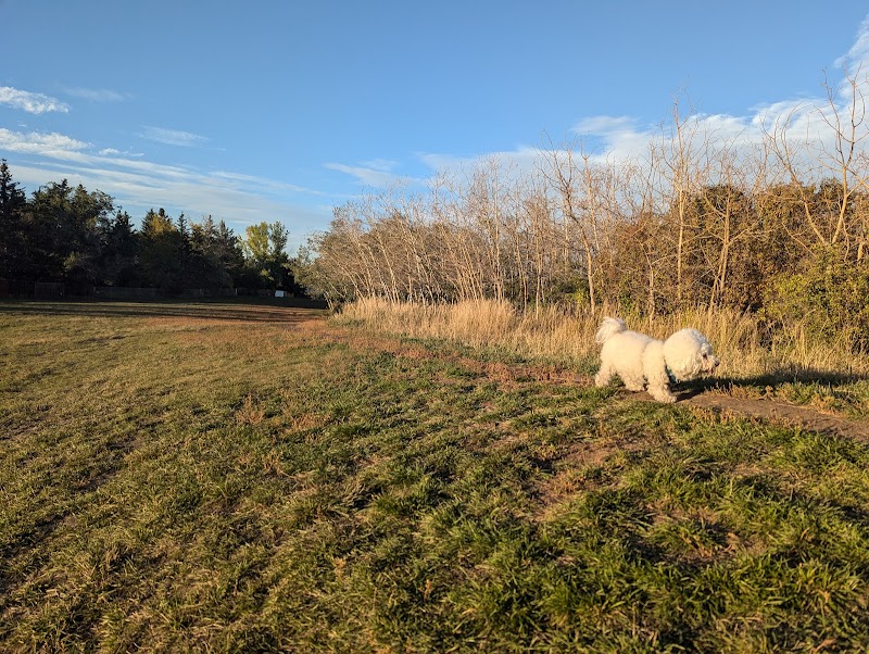 Braeside Off Leash Area dog park in Calgary, Alberta