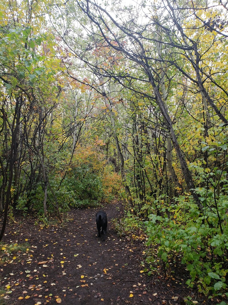 Braeside Off Leash Area dog park in Calgary, Alberta