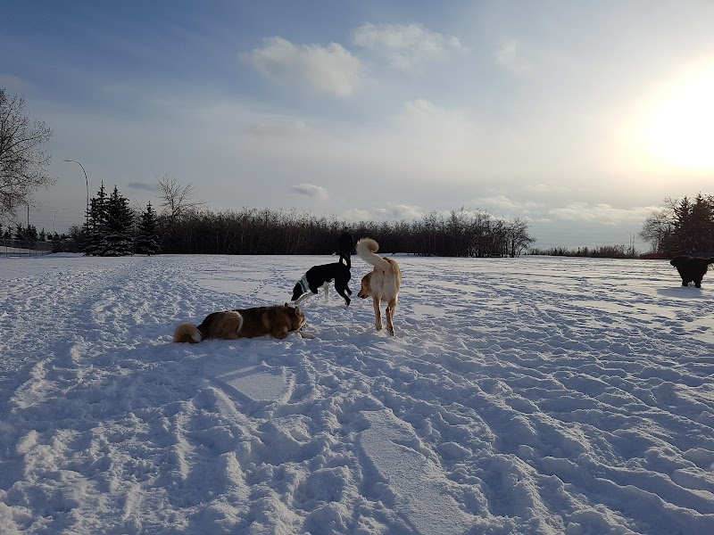Braeside Off Leash Area dog park in Calgary, Alberta