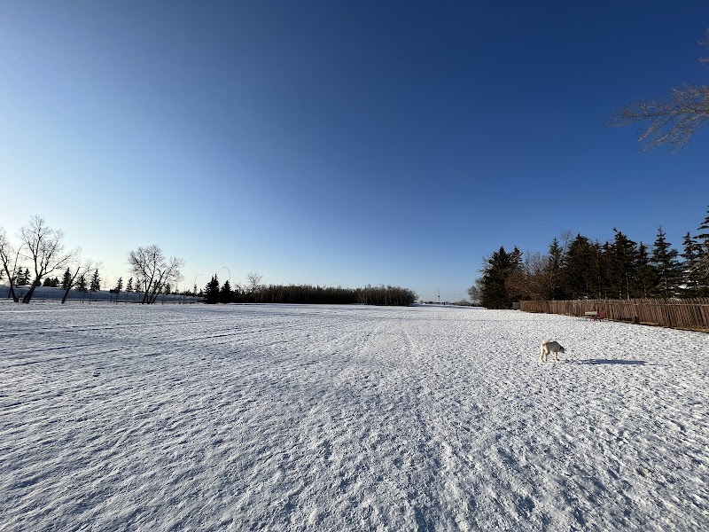 Braeside Off Leash Area dog park in Calgary, Alberta