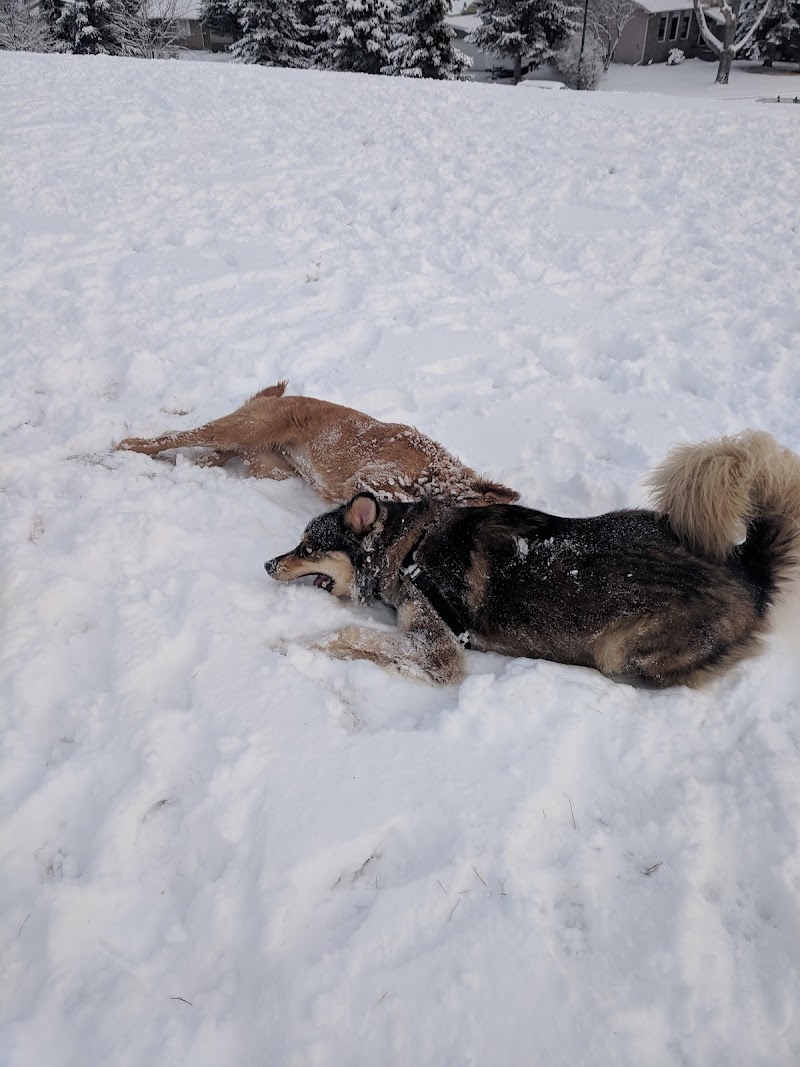 Dog Off Leash Park dog park in Calgary, Alberta