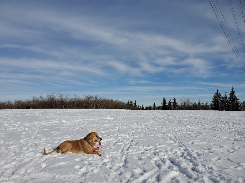Dog Off Leash Park dog park in Calgary, Alberta