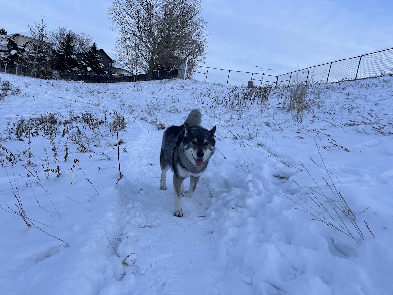 Hidden Valley Area 2 Off Leash Dog Park dog park in Calgary, Alberta