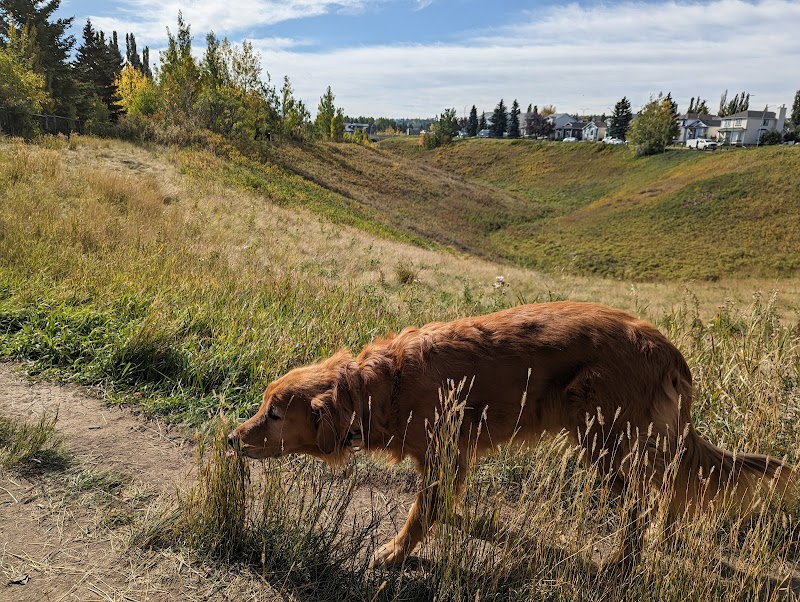Hidden Valley Area 2 Off Leash Dog Park dog park in Calgary, Alberta