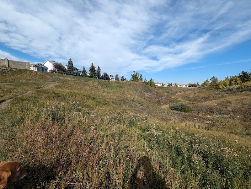 Hidden Valley Area 2 Off Leash Dog Park dog park in Calgary, Alberta