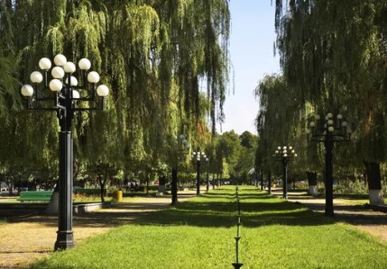 Hidden Valley Area 2 Off Leash Dog Park dog park in Calgary, Alberta