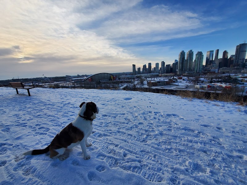 Scotsman's Hill Off Leash Dog Park dog park in Calgary, Alberta