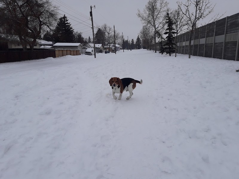 Acadia Off Leash Area dog park in Calgary, Alberta