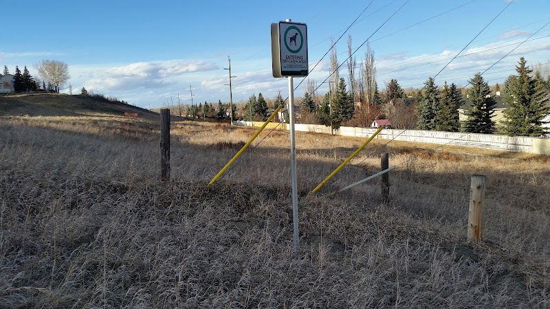 Queensland Off Leash Area dog park in Calgary, Alberta