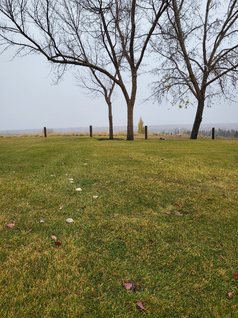 Queensland Off Leash Area dog park in Calgary, Alberta