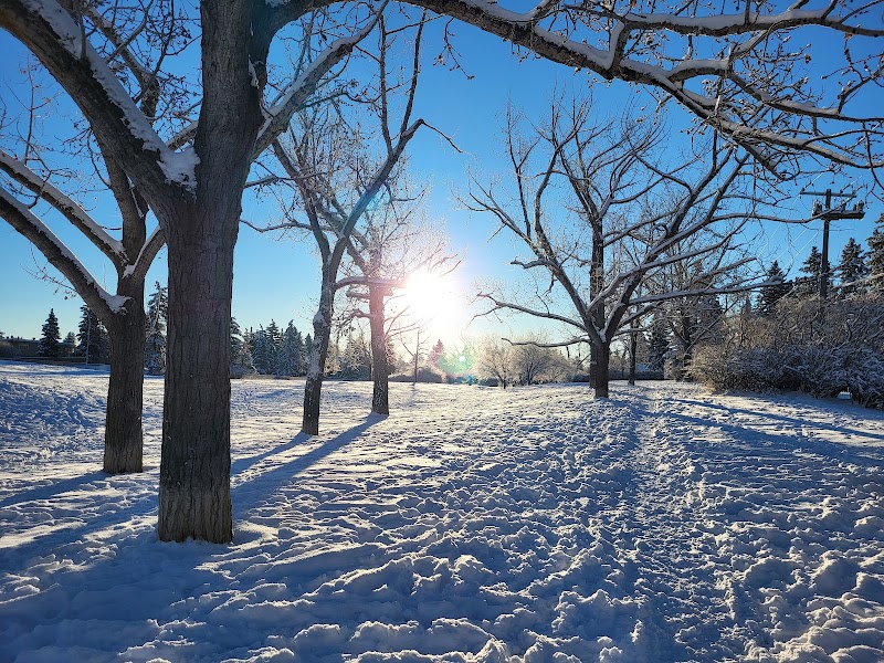 Glamorgan Off leash area dog park in Calgary, Alberta