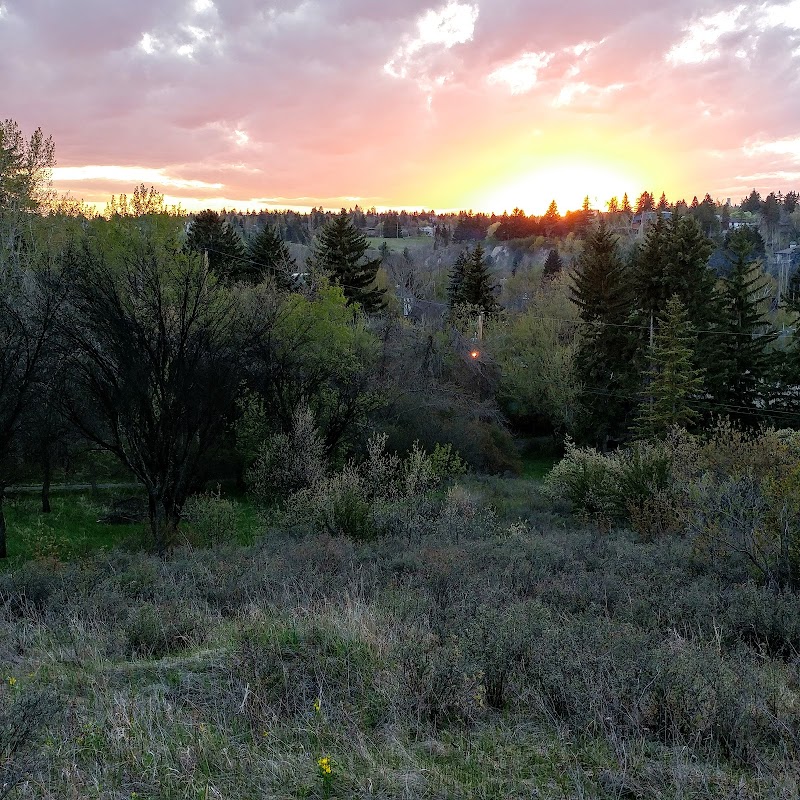 Britannia Off-leash Area dog park in Calgary, Alberta