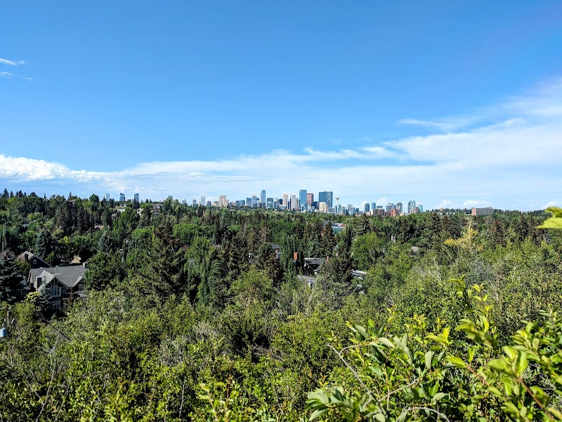 Britannia Off-leash Area dog park in Calgary, Alberta