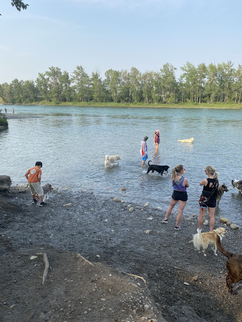 Sue Higgins Dog Park - Vehicle Parking Lot dog park in Calgary, Alberta
