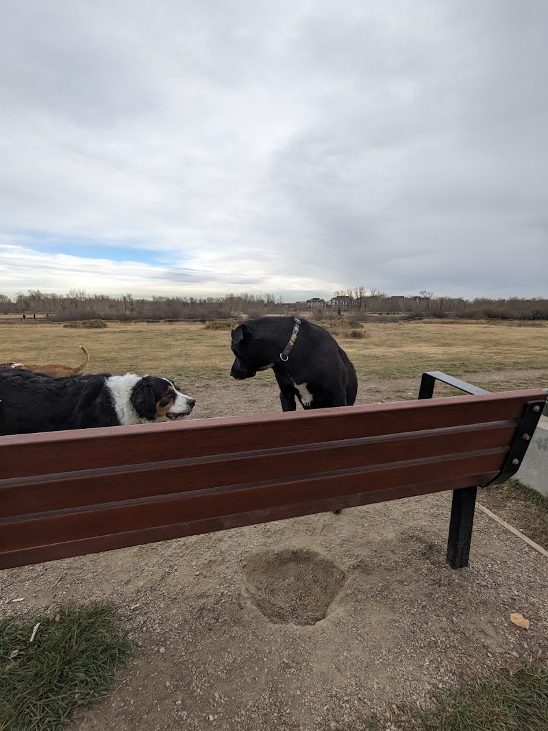 Sue Higgins Dog Park - Vehicle Parking Lot dog park in Calgary, Alberta