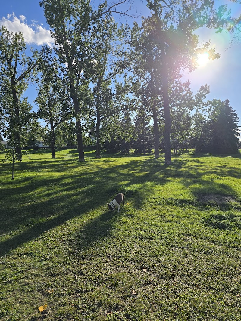 Ogden Off Leash Dog Park dog park in Calgary, Alberta