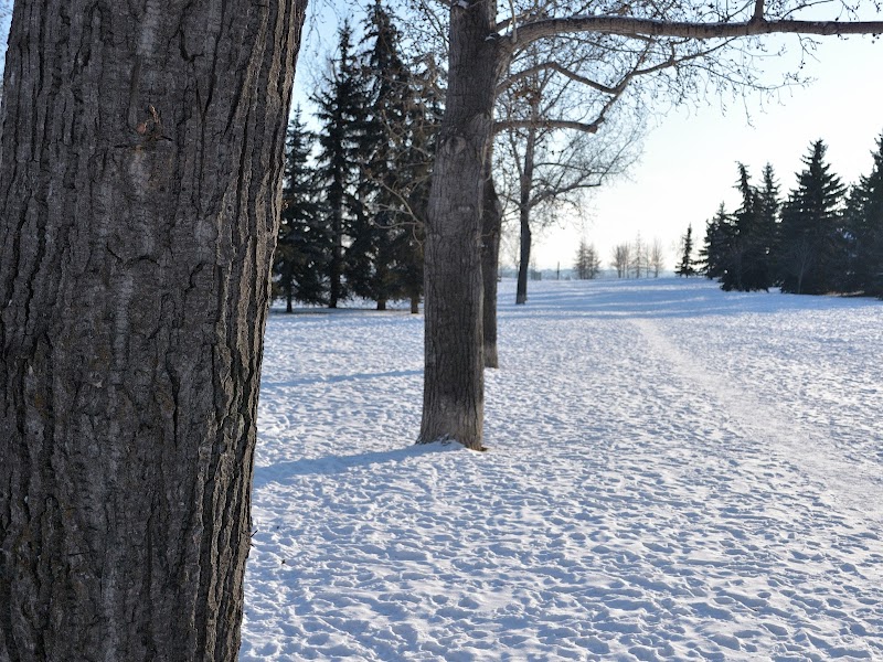 Ogden Off Leash Dog Park dog park in Calgary, Alberta