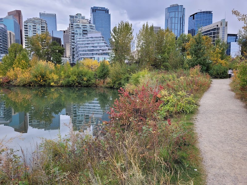 Brittania Slopes dog park in Calgary, Alberta