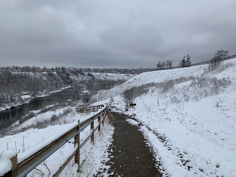Brittania Slopes dog park in Calgary, Alberta