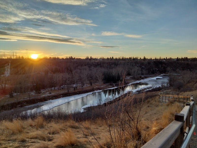 Brittania Slopes dog park in Calgary, Alberta