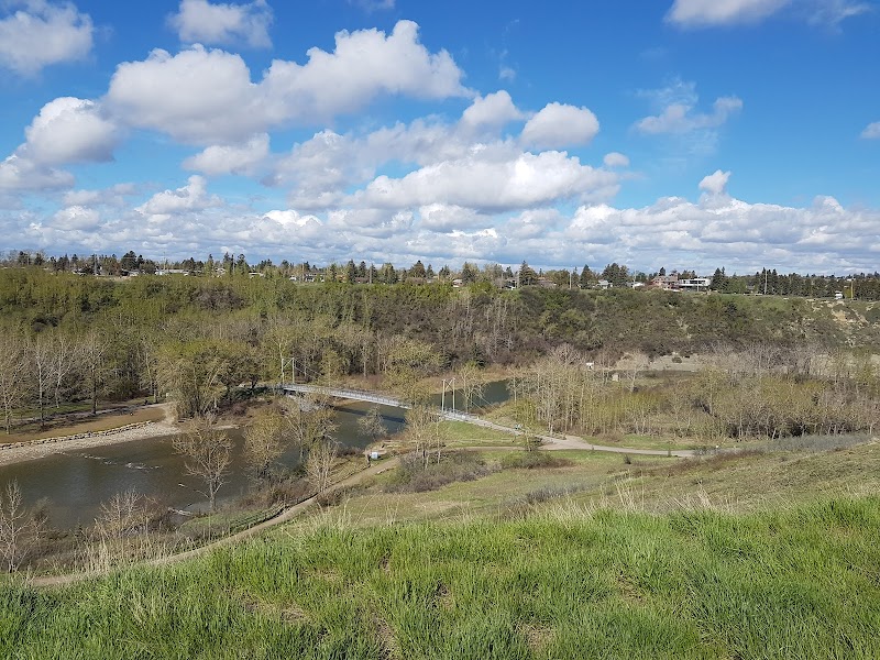 Brittania Slopes dog park in Calgary, Alberta