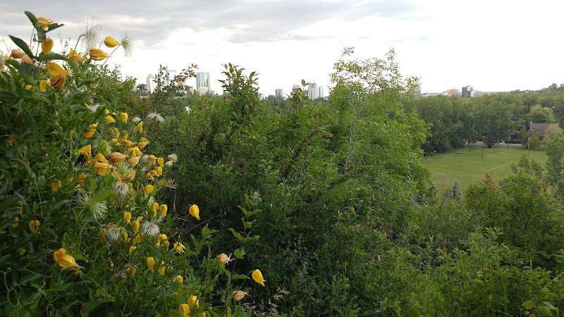 Elbow Park Off-leash Dog Park dog park in Calgary, Alberta