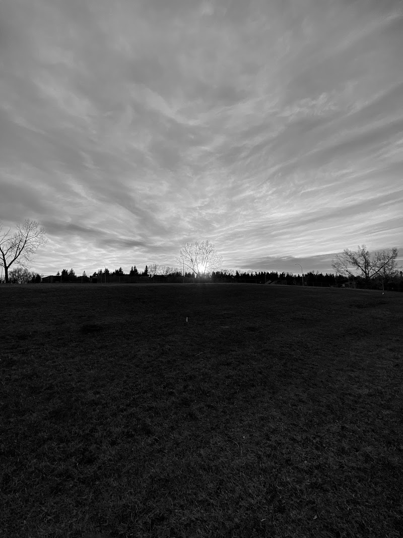 14 Street Off Leash Area dog park in Calgary, Alberta