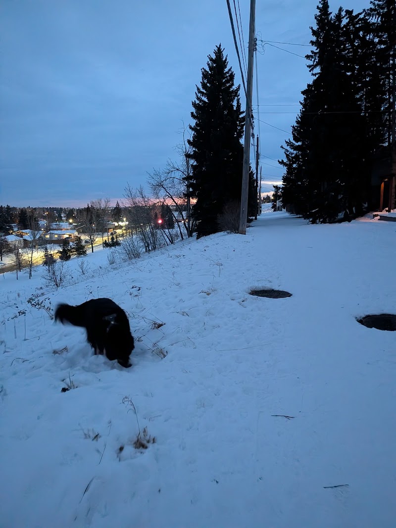 Bonavista Off Leash Area 4 dog park in Calgary, Alberta