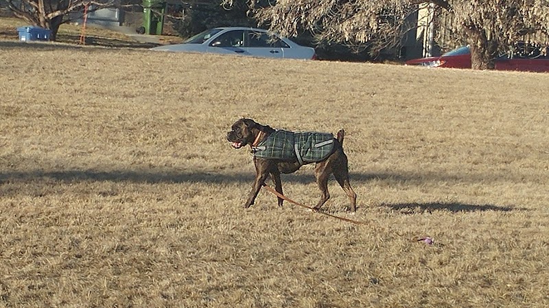 Bonavista Off Leash Area 4 dog park in Calgary, Alberta
