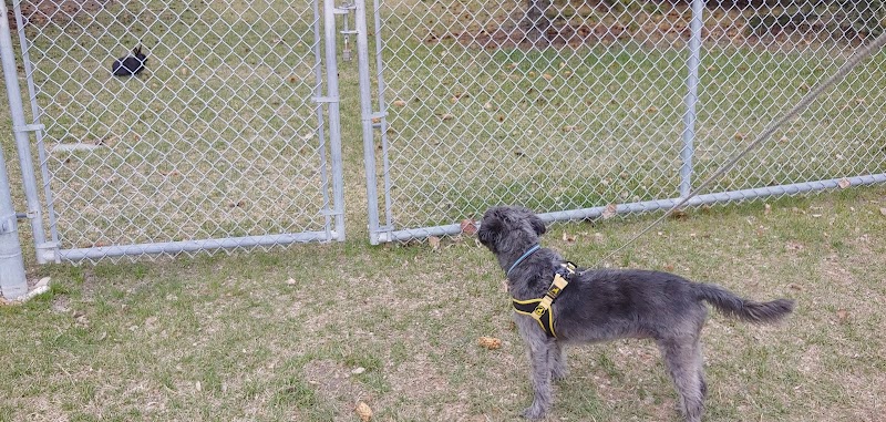 Bonavista Off Leash Area 4 dog park in Calgary, Alberta