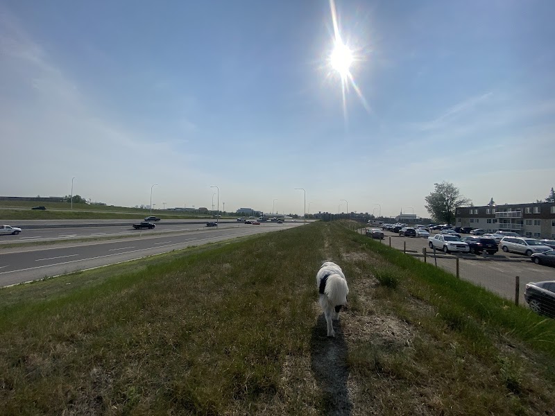 Lakeview Off Leash Area dog park in Calgary, Alberta