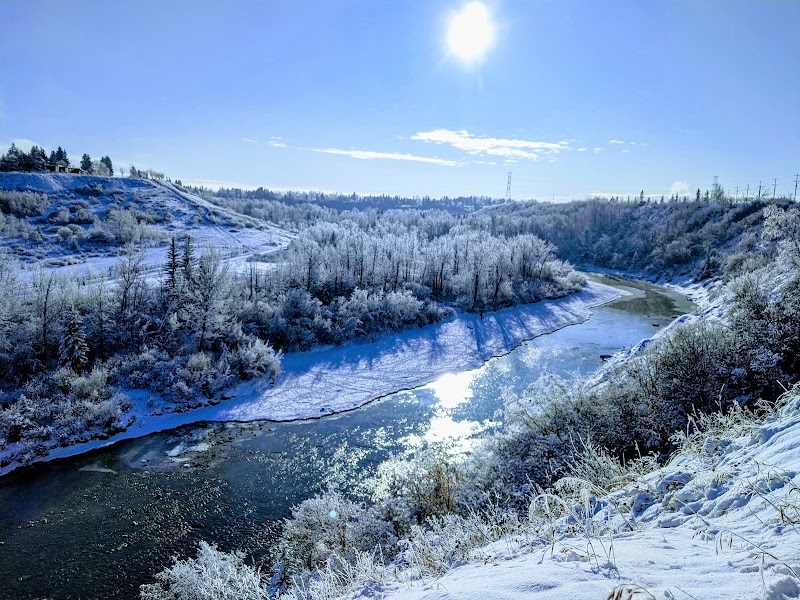 Sandy Beach River Access dog park in Calgary, Alberta