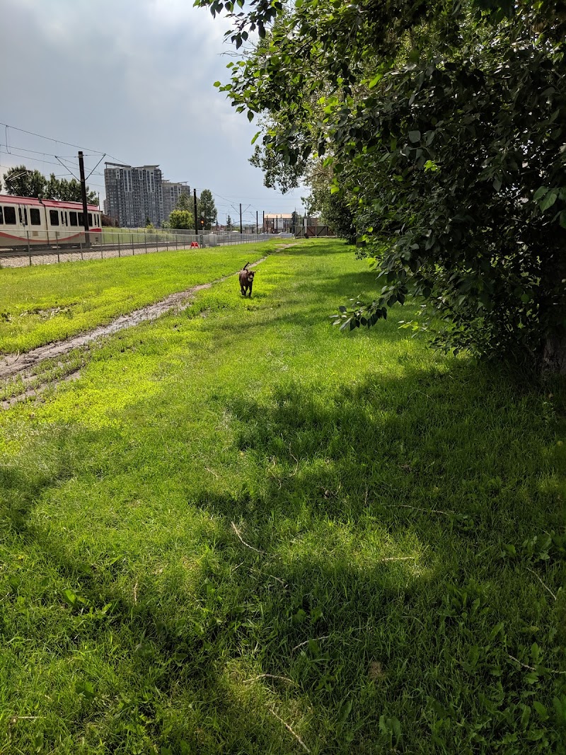 Kingsland Off Leash Area dog park in Calgary, Alberta